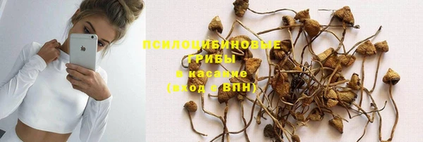 спиды Алзамай