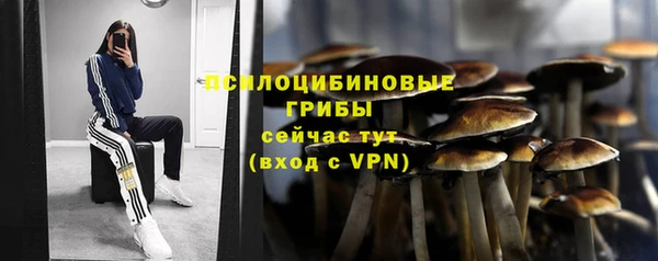 ГАЛЛЮЦИНОГЕННЫЕ ГРИБЫ Алексеевка