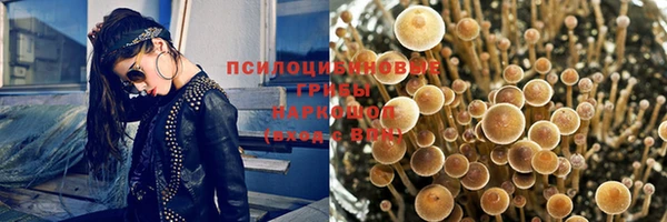 спиды Алзамай