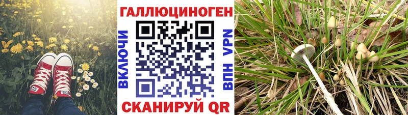 shop телеграм  Уяр  Галлюциногенные грибы Psilocybe 